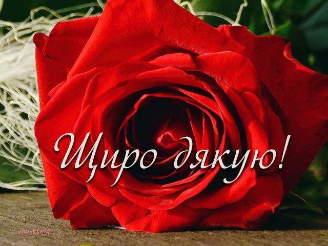 Дякую мамі, татові, рідним
